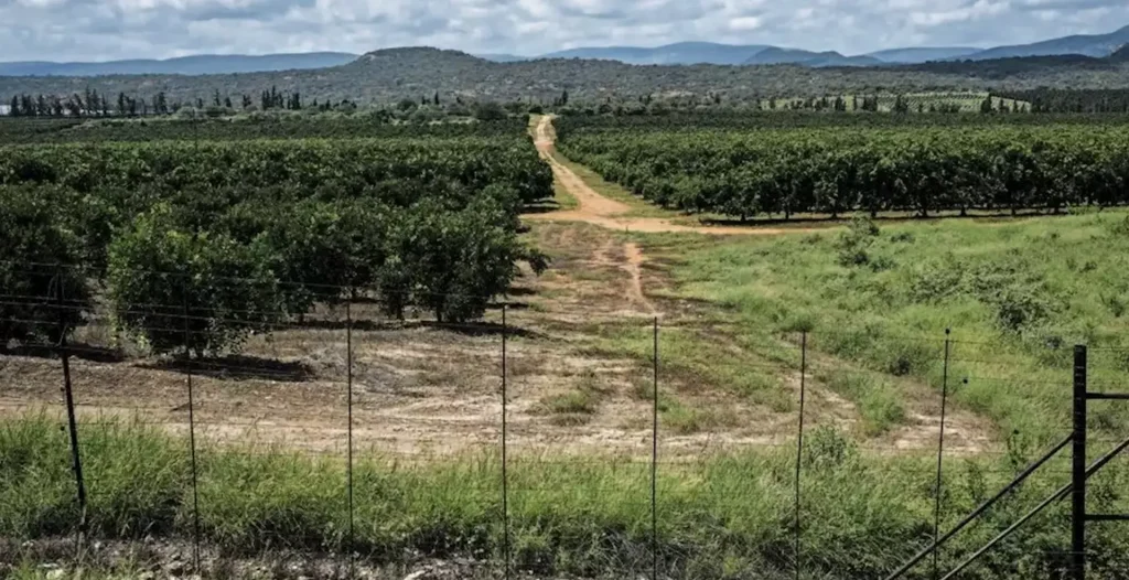 Public participation is a farce in Musina-Makhado project